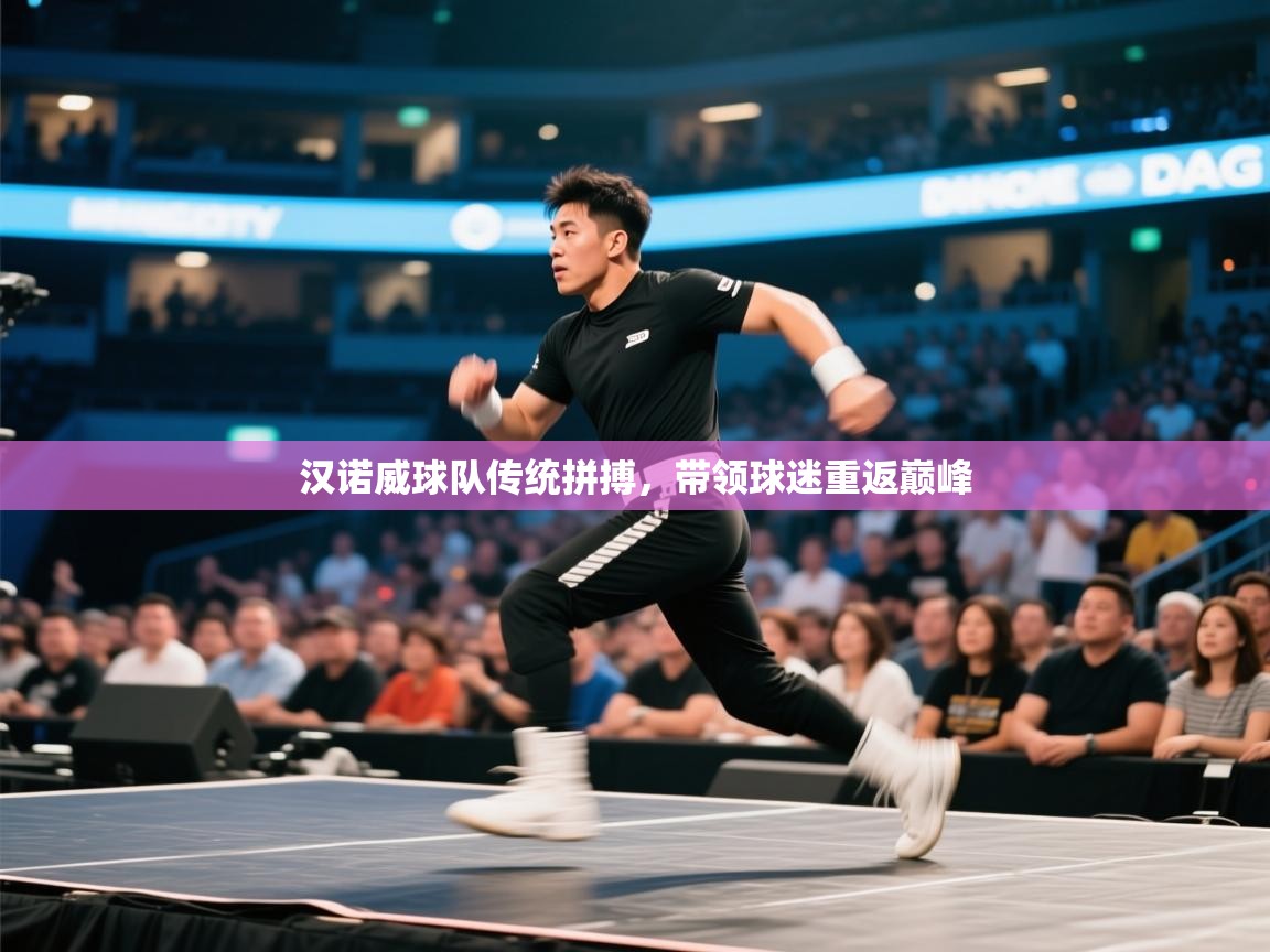 汉诺威球队传统拼搏,带领球迷重返巅峰 第1张