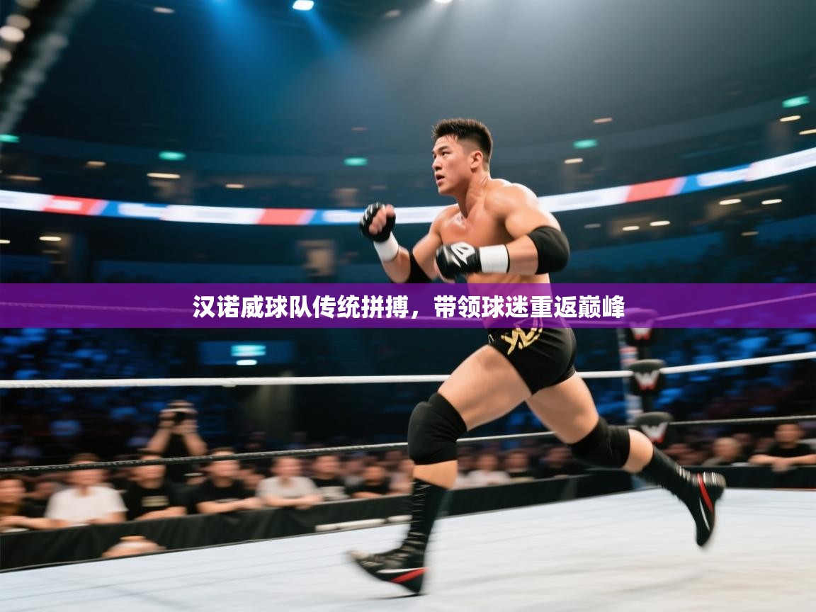 汉诺威球队传统拼搏,带领球迷重返巅峰 第2张